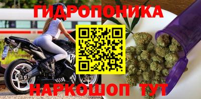 a pvp Малгобек