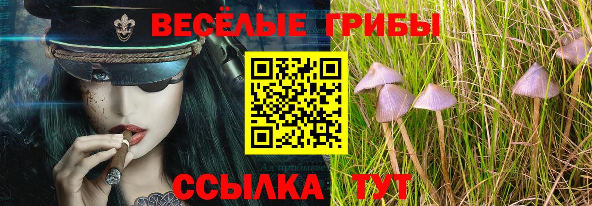 Чистополь  Псилоцибиновые грибы Psilocybine cubensis  Галлюциногенные грибы ЛСД  Вход с VPN 